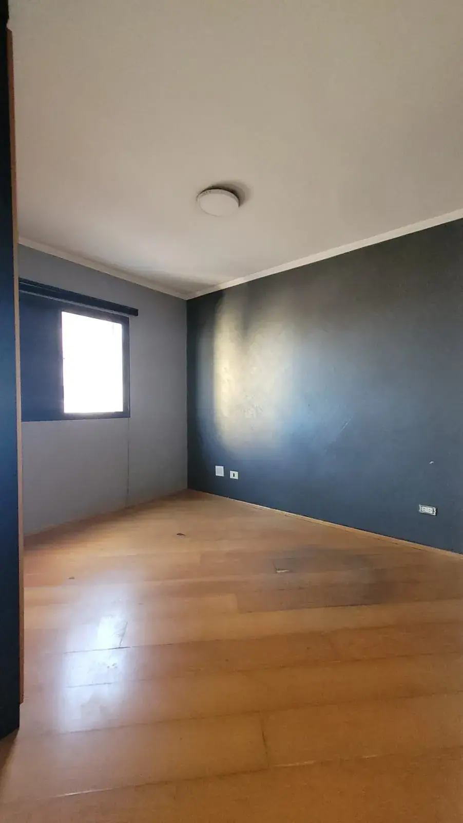 WhatsApp Image 2024-10-31 at 17.45.02