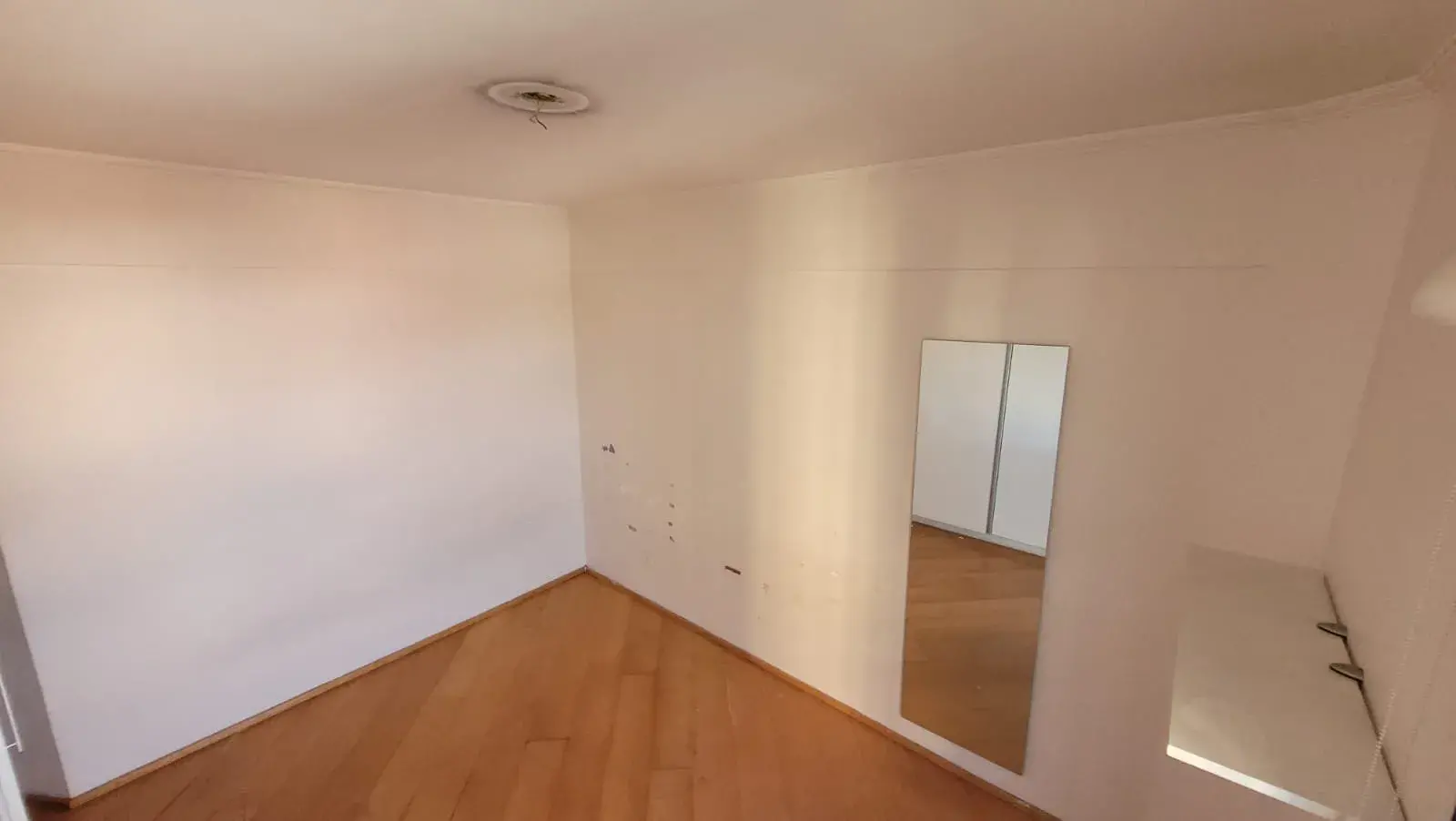 WhatsApp Image 2024-10-31 at 17.45.05 (1)