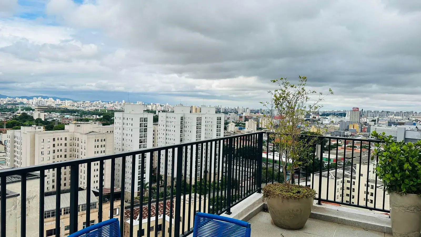 WhatsApp Image 2024-11-06 at 11.33.49