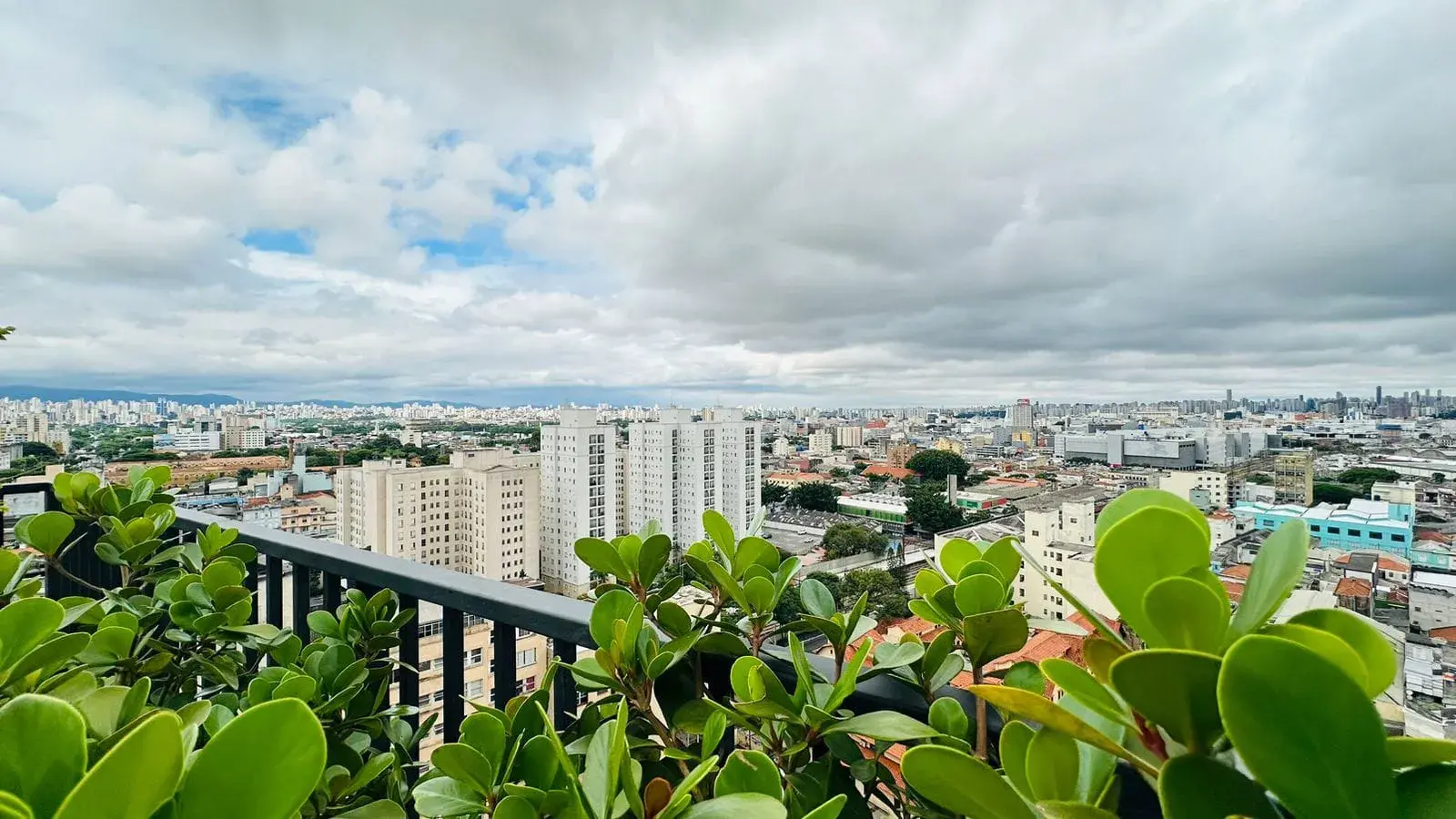 WhatsApp Image 2024-11-06 at 11.33.50